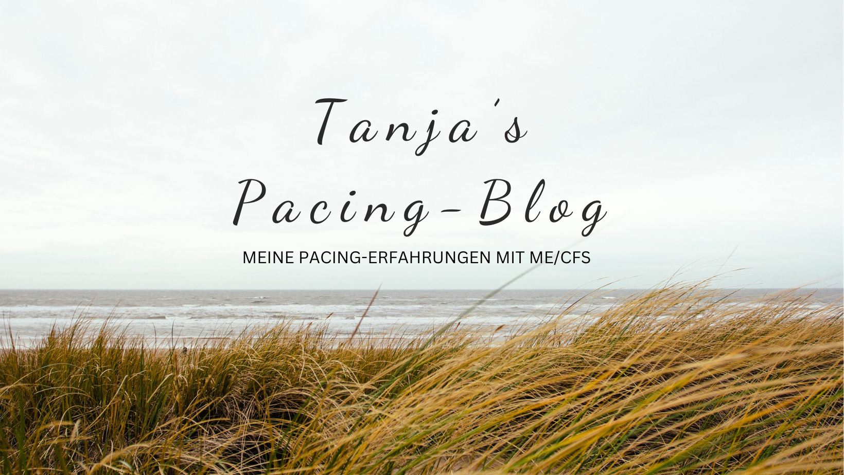 Tanjas Pacing Blog