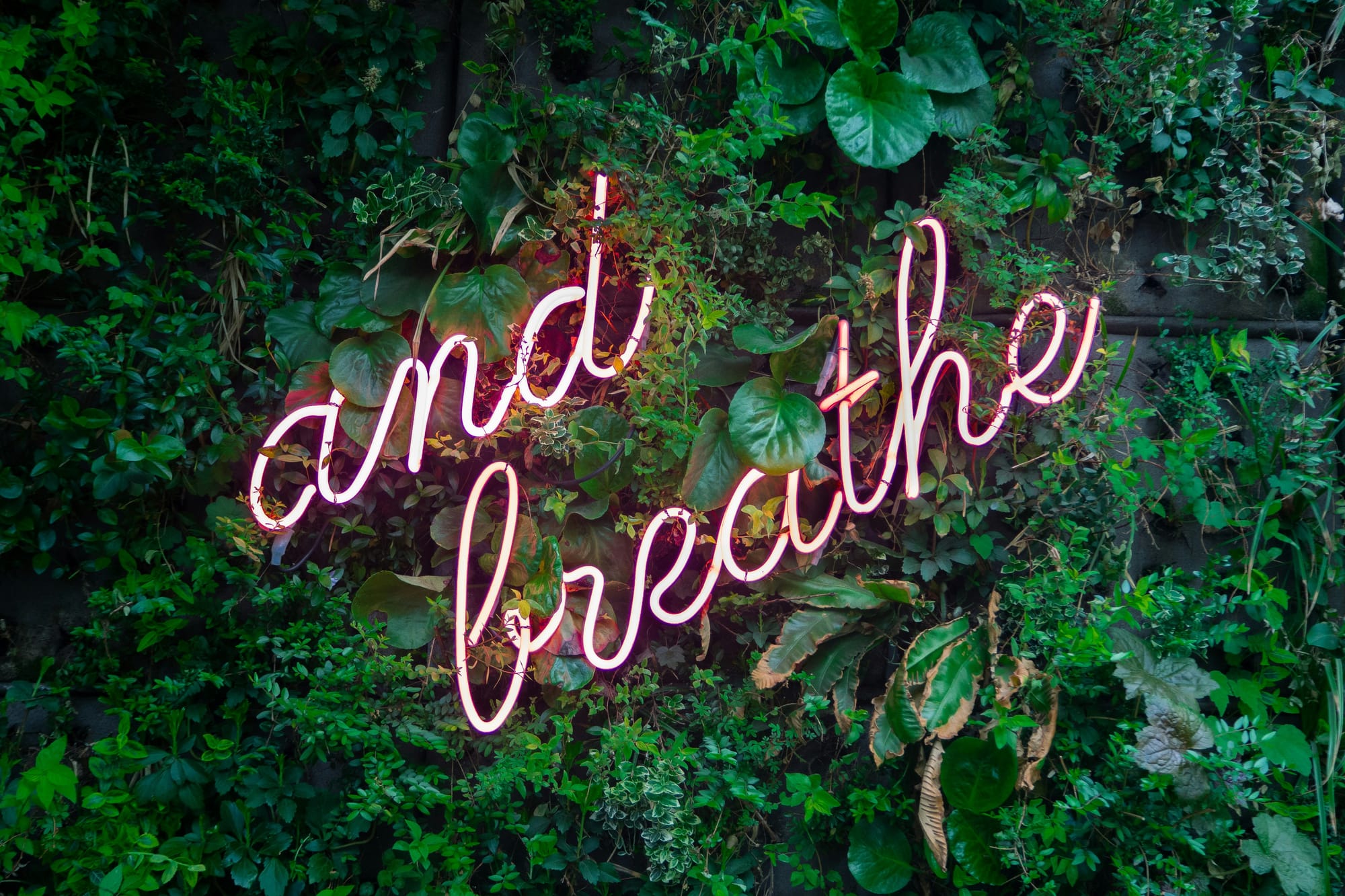 Coping und...Stress Teil 2 - Tipps zum Umgang mit Stressoren